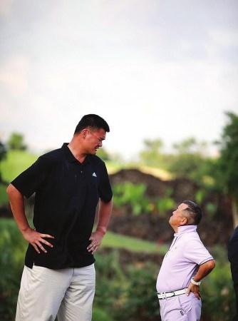 狼鏖战